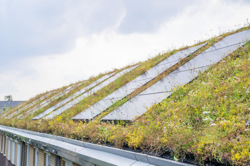 Groen en circulair dak ROEF past op 99% van de grondgebonden corporatiewoningen