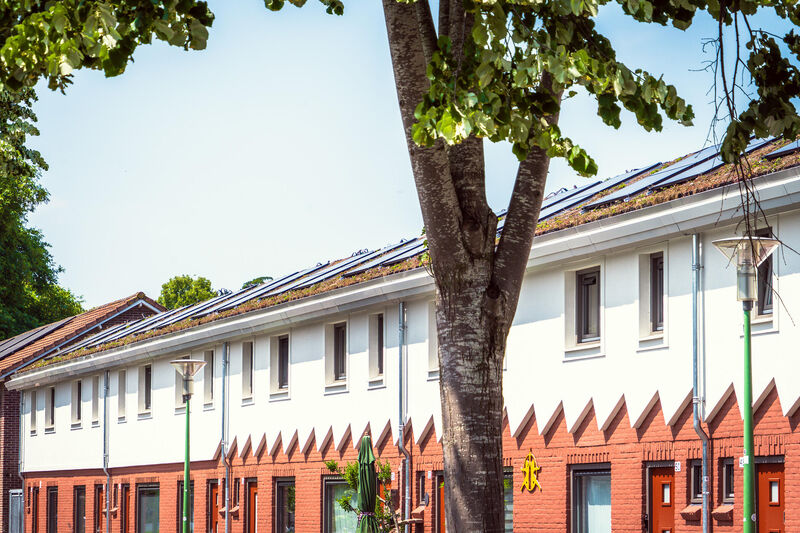 Oude volksbuurt, nieuwe energie