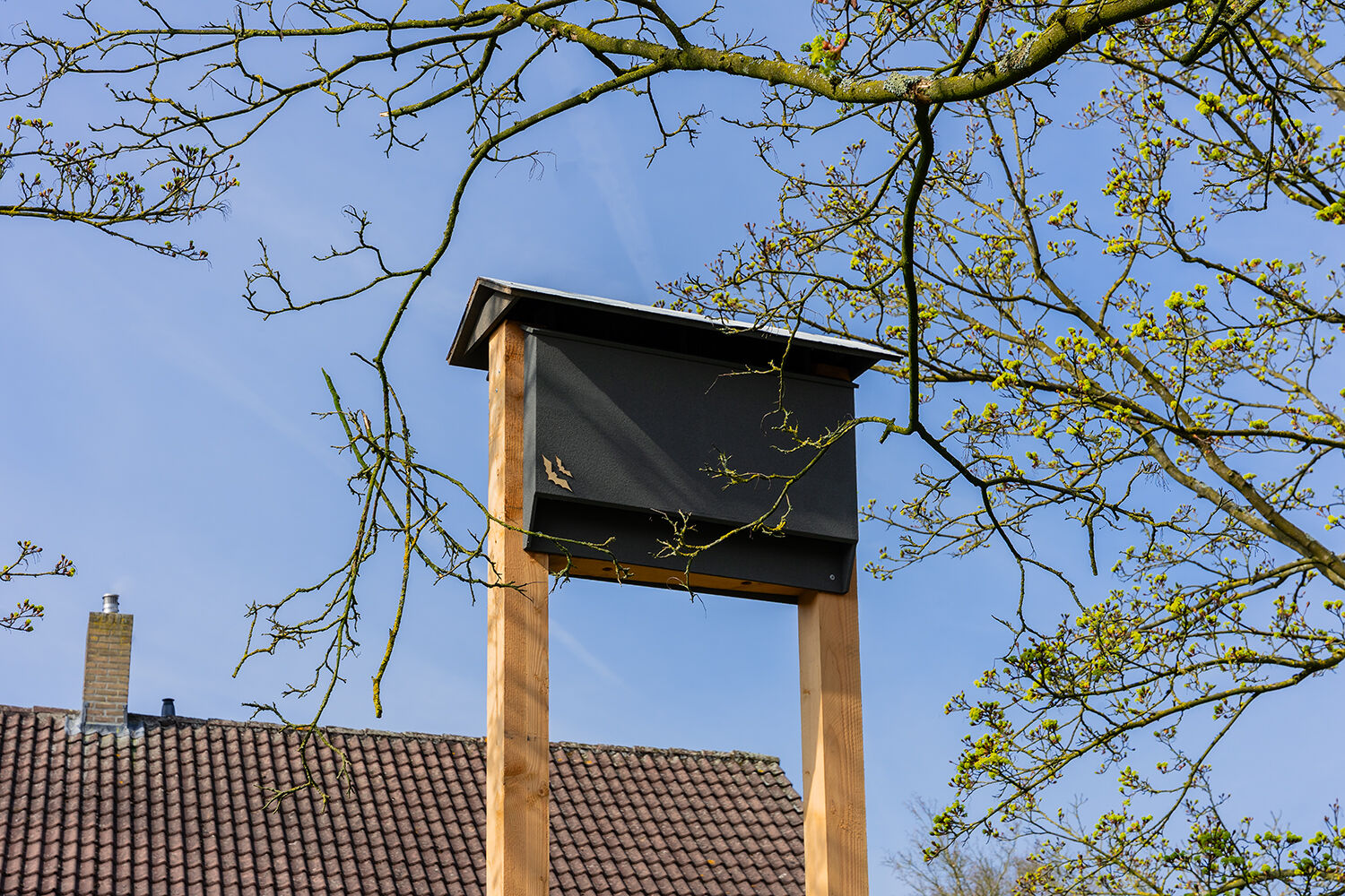 Samen bouwen aan een levendige wijk